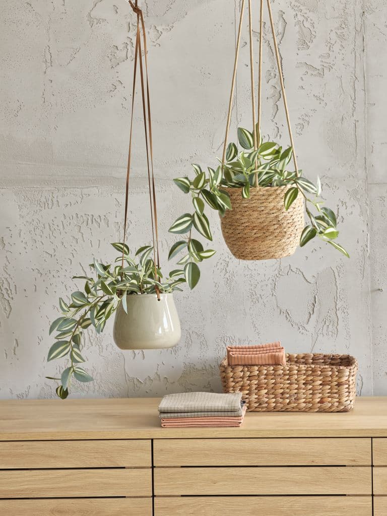 Planta artificial ASGAR C24cm verde