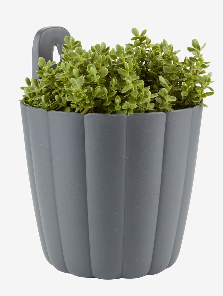 Vaso jardim BUKSEBIE Ø16xA21 sortido