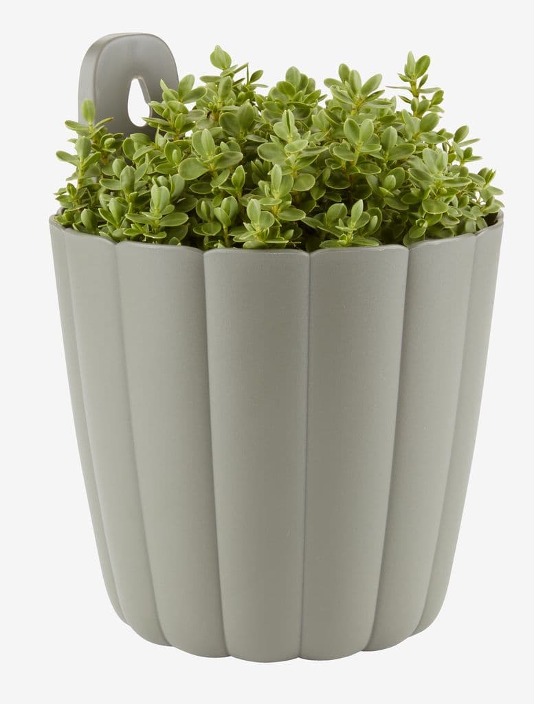Vaso jardim BUKSEBIE Ø16xA21 sortido