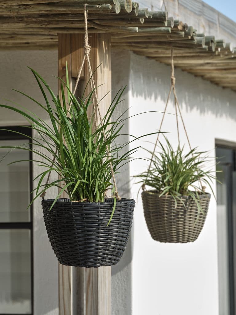 Vaso suspenso STORSKARV Ø27xA19 sortido
