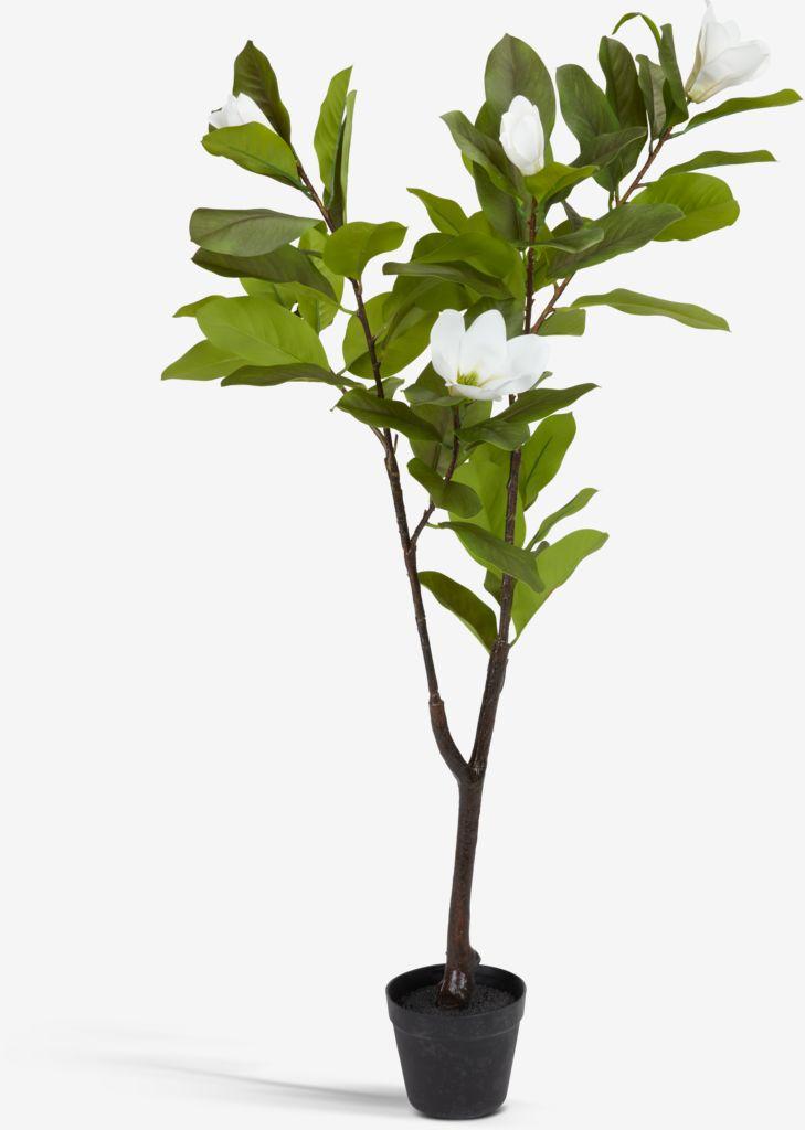 Planta artificia SPINDEL A120 cm verde/branco magnólia