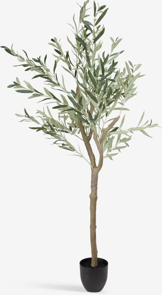 Planta artificial HAVHEST A160cm verde azeitona