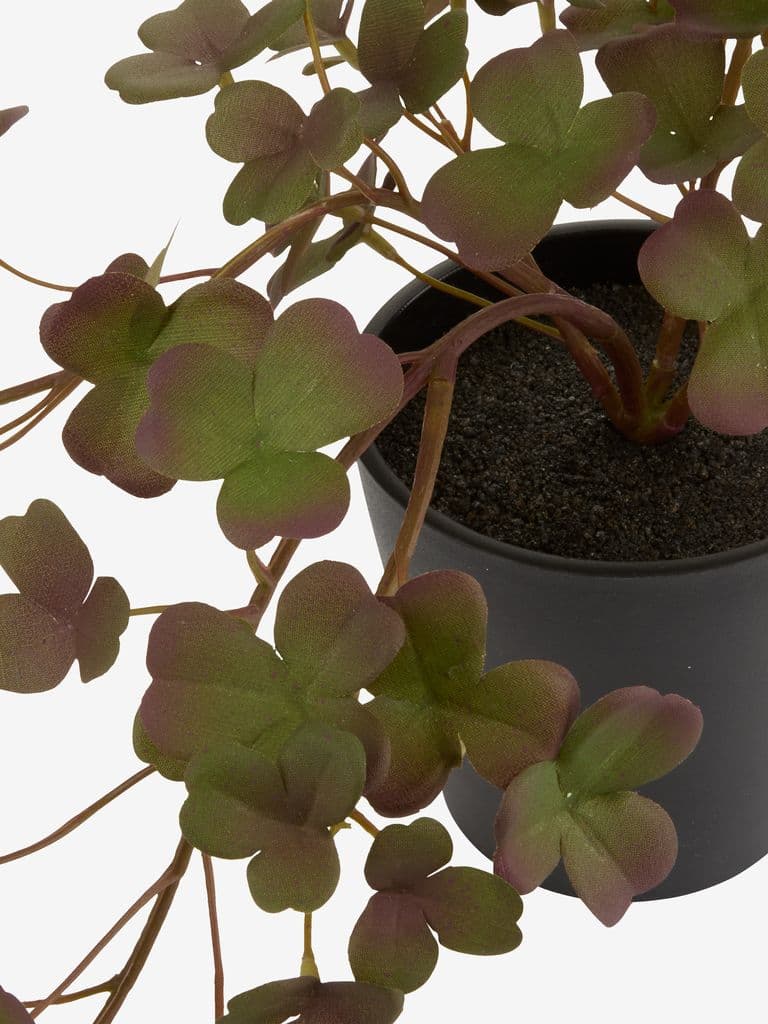 Planta artificial BERGUR C21cm com vaso