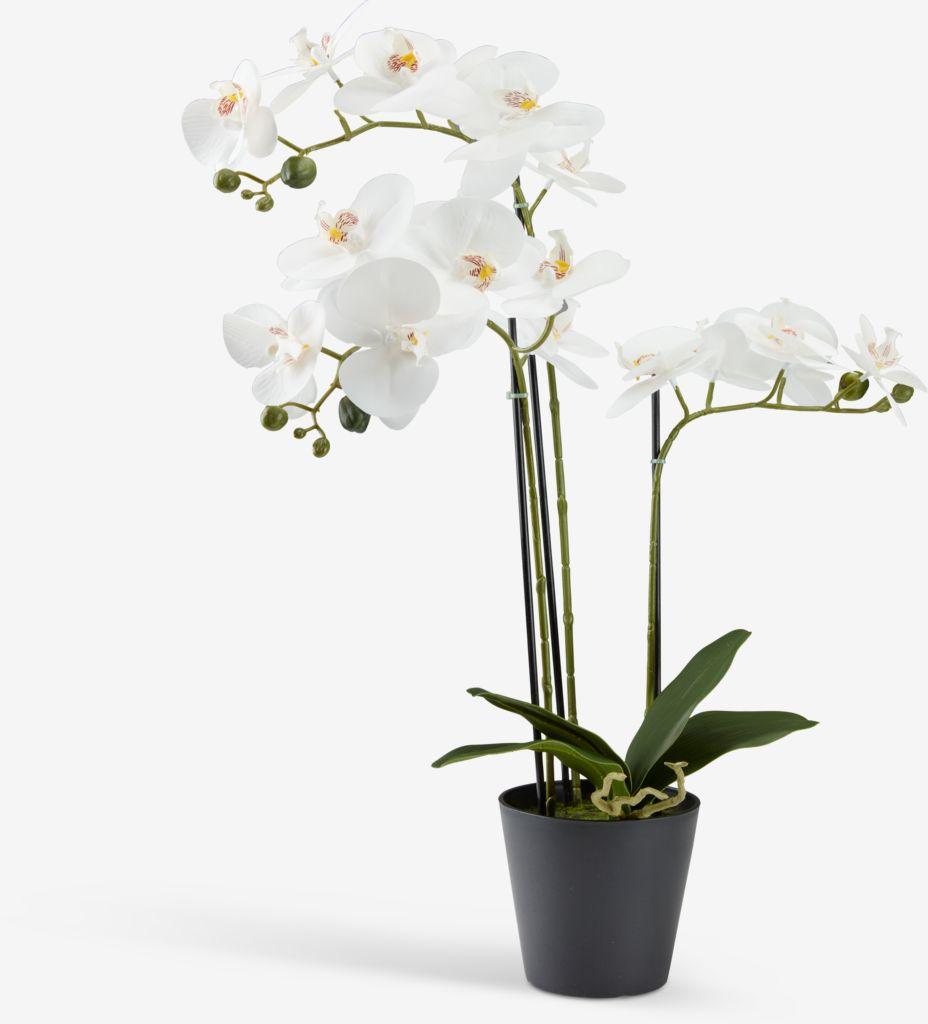 Planta artificia MATINUS A62cm com flores