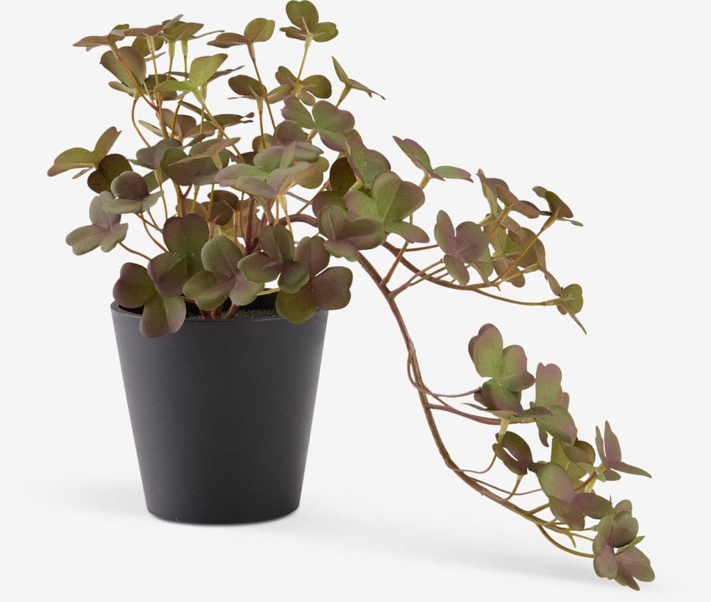 Planta artificial BERGUR C21cm com vaso