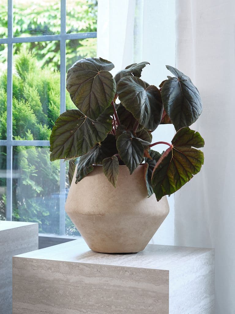 Vaso GERMUND Ø34xA29cm castanho