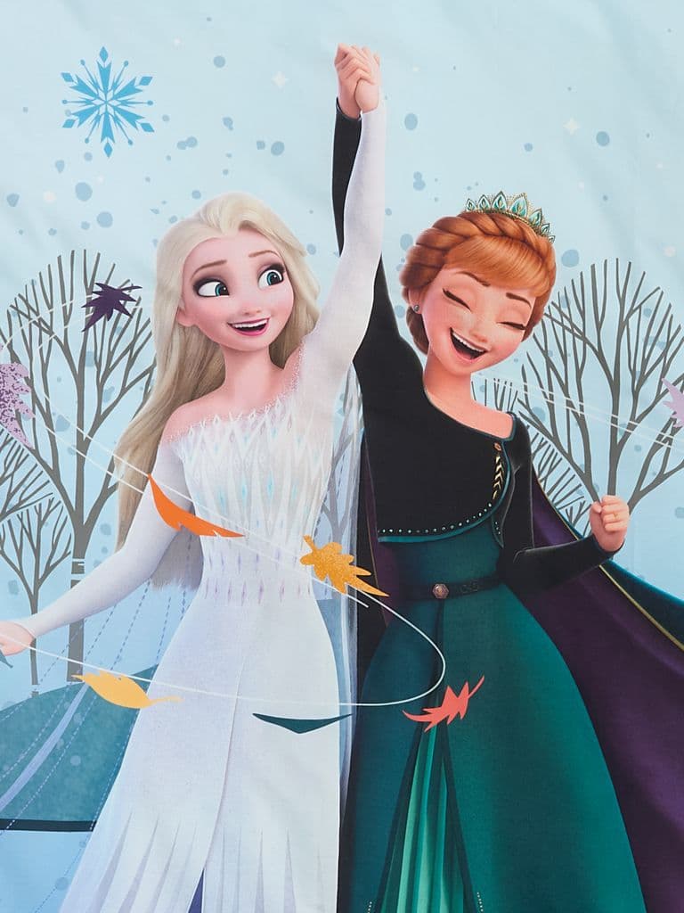Conjunto capa edredão FROZEN 155x220 azul claro