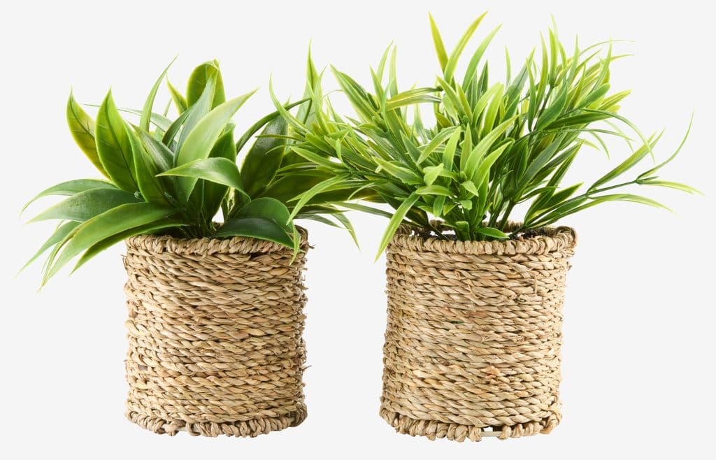 Planta artificial BERTRAM Ø8xA18cm sortido