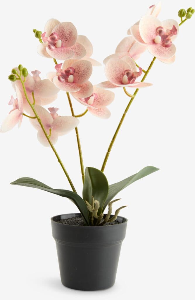 Planta artificial GUDJON A35cm orquídea rosa