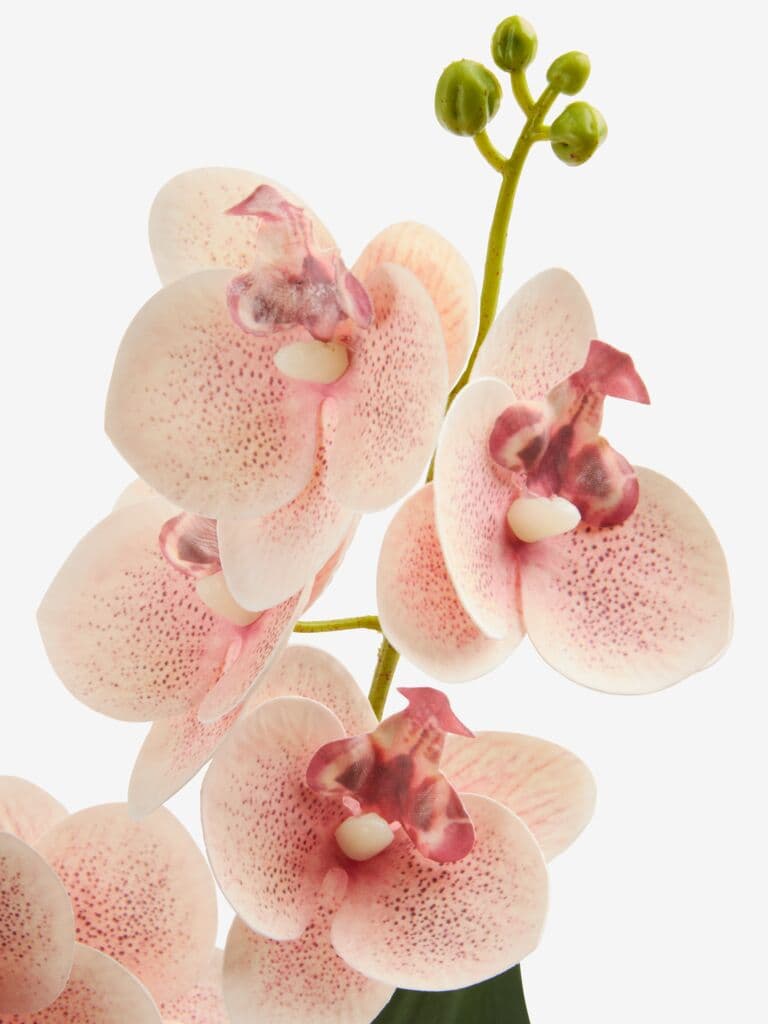 Planta artificial GUDJON A35cm orquídea rosa