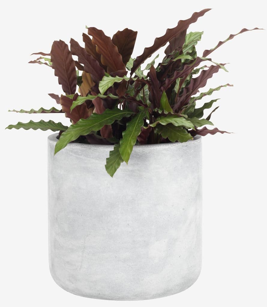 Vaso jardim FLUGA Ø33xA32 cinzento