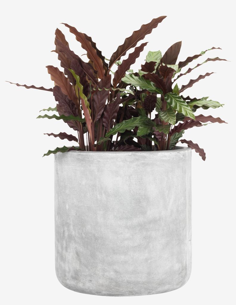 Vaso jardim FLUGA Ø42xA42 cinzento