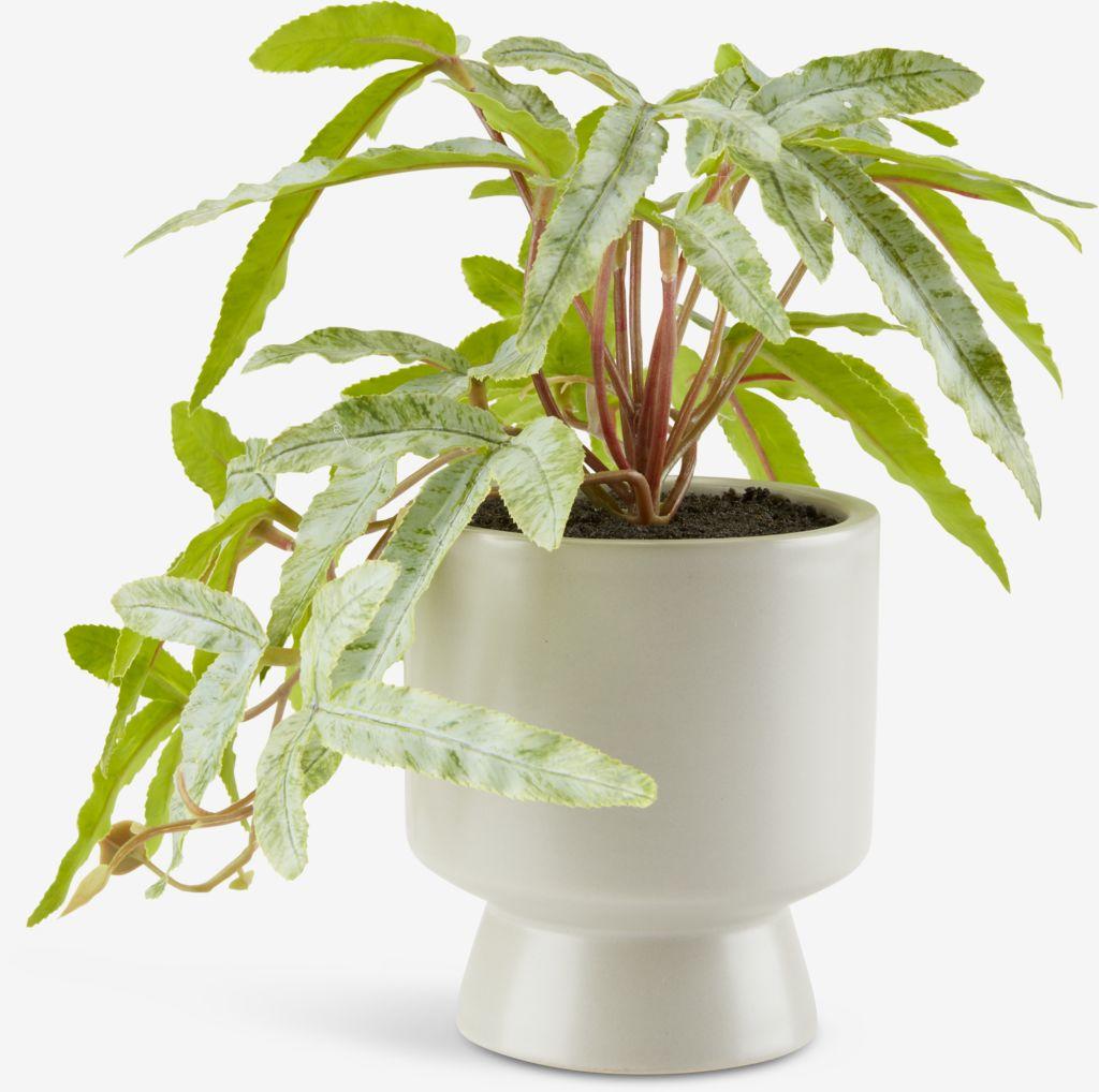 Planta artificial OLSEN Ø9xA20cm com vaso