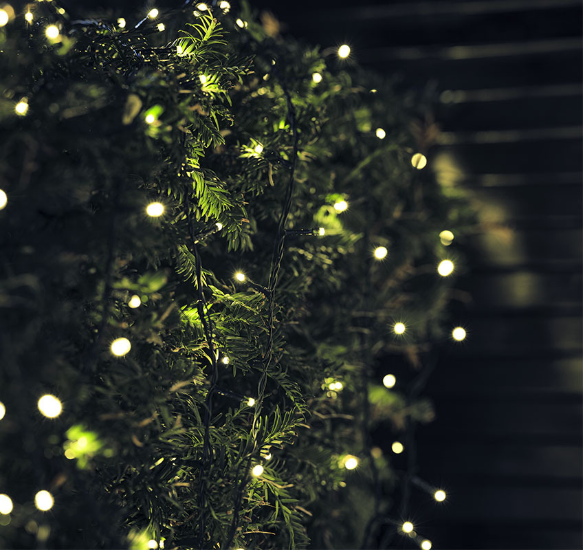 Iluminação de exterior de Natal